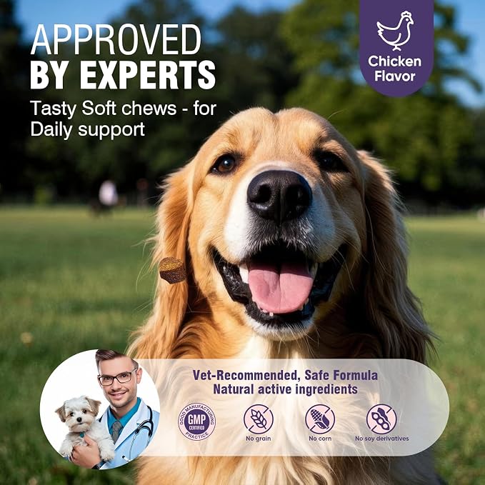 Dog Allergy Chews 200ct - Dog Allergy and Itching Skin Relief Anti Itch Aller Immune Bites for Dogs licking Paws Treatment Relief Itchy Chew Probiotics Vitamins for Skin and Coat Allergies - Chicken