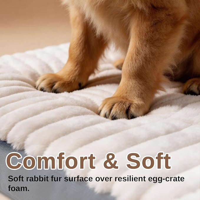 Orthopedic Dog Bed for Medium Breeds Up to 30 Lbs, High-Density Egg Crate Foam, Plush Surface, Machine Washable Removable Cover, Non-Slip Bottom, Blue 29"X18"X3"