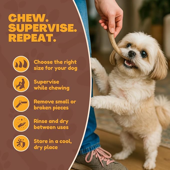WhiteTail Naturals - Antlers for Extra Small Dogs (6 Pack) Deer Antler Dog Chew Bones for Extra Small Aggressive Chewers - Long Lasting Horn Chew Toys - Naturally Shed