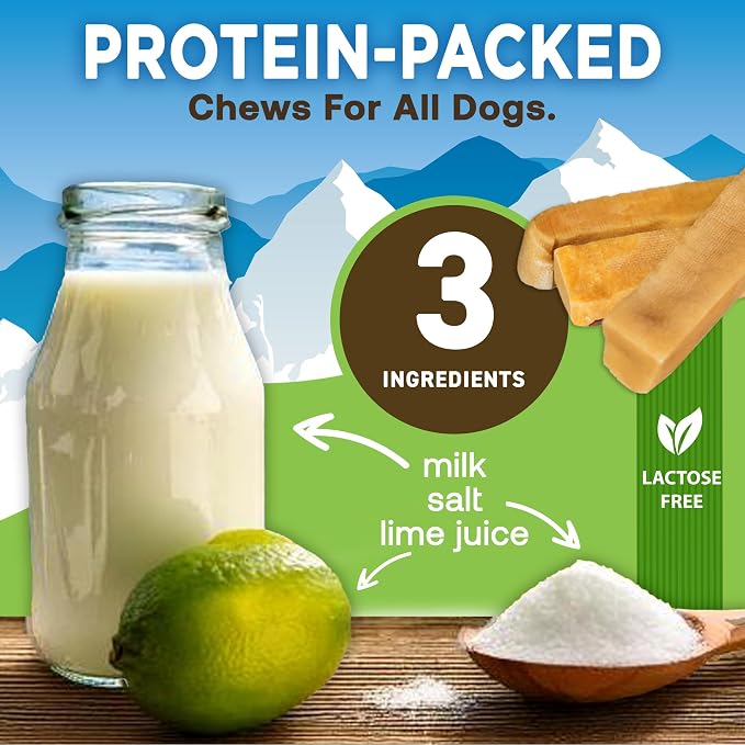 EcoKind Yak Cheese Himalayan Dog Chews, Yak Chews for Large Dogs, Long Lasting Bone for Aggressive Chewers, Only 3 Ingredients, Natural High Protein Treats, No Additives, Lactose Free, Large - 5 Chews