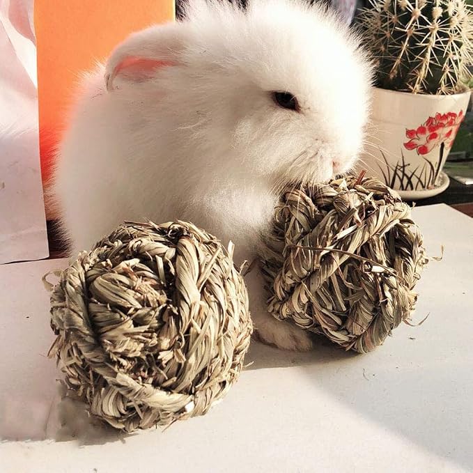 Hamiledyi Rabbit Chew Ball Timothy Grass Grinding Small Animal Activity Play Chew Toys for Bunny Rabbits Hamster Guinea Pigs Gerbils (5 PCS)