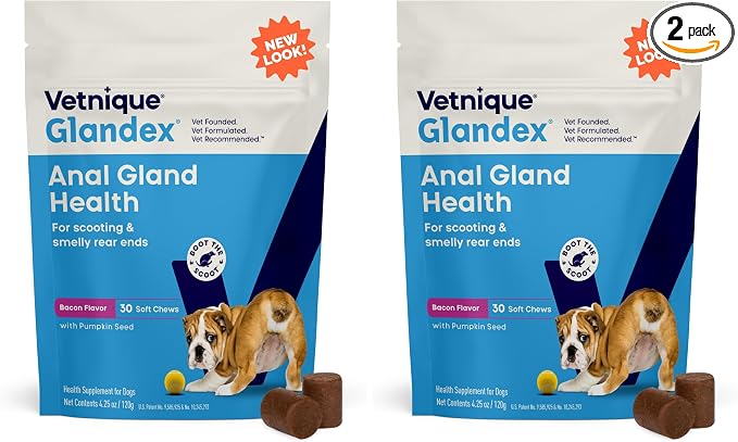 Vetnique Glandex Anal Gland Soft Chew Treats with Pumpkin for Dogs Digestive Enzymes, Probiotics Fiber Supplement for Dogs Boot The Scoot (Bacon Flavor Chews, 30 Count) (Pack of 2)