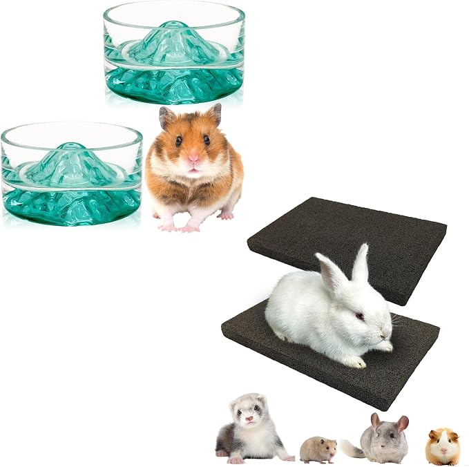 BNOSDM 2Pcs Hamster Food and Water Bowl Mountain Fuji Style Glass Drinking Dwarf Hamster Feeder and Rabbit Grinding Claw Pads Natural Lava Stone Teeth Grinding Scratching Pad Chew Toy for Small Animal