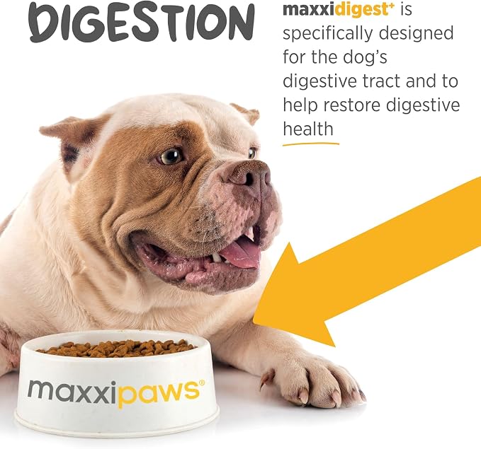 maxxipaws maxxidigest+ Prebiotic & Probiotic for Dogs 7oz | Dog Probiotic Powder with Advanced Digestive Enzymes for Gut Health & Immunity | Supports Digestion, Food Sensitivities & Itchy Skin