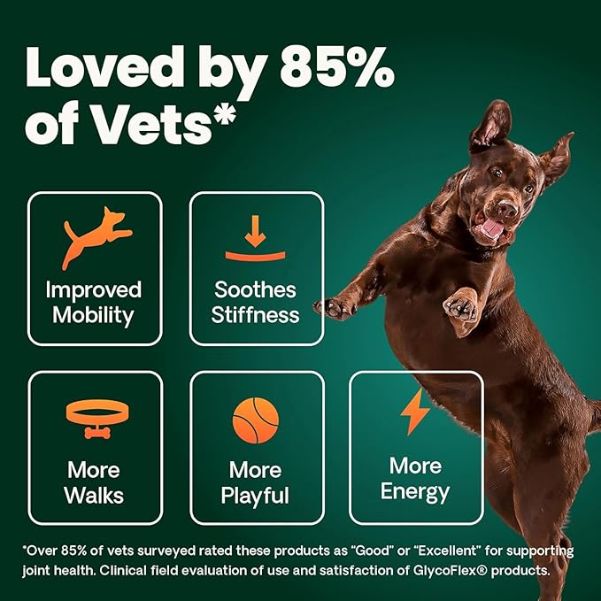 VETRISCIENCE Glyco Flex® 2 Hip and Joint Supplement for Dogs, Chewable Tablets (2 pack)