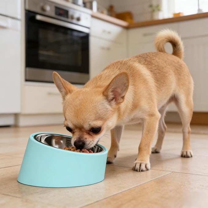15° Tilted Anti‑Gulping Water Bowl for Medium Dogs (10-15kg, Blue, 350ml) – Non-Spill Stainless Steel Slow Water Feeder Dish, Vet Recommended Raised Pet Waterer