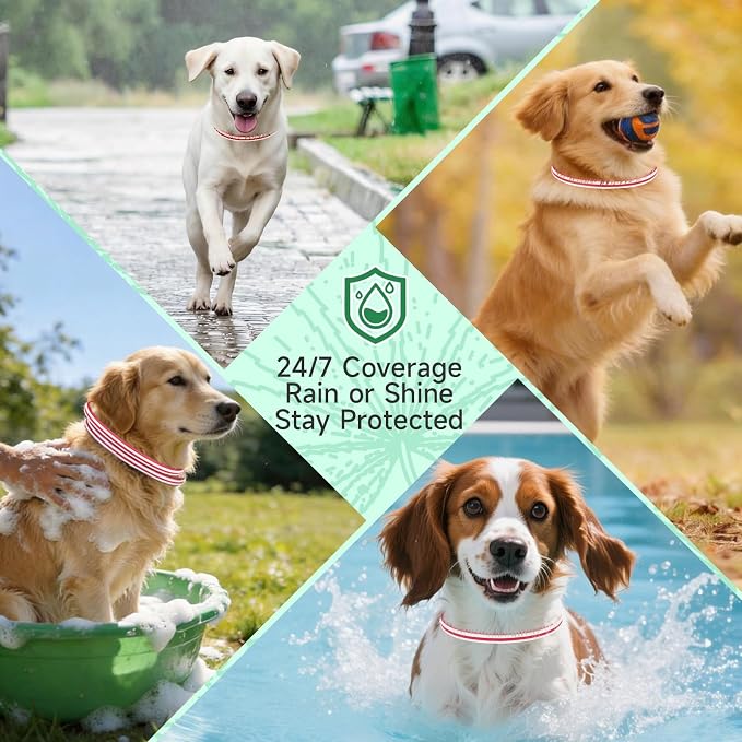 Flea Collar for Dogs, 4 Pack Flea and Tick Prevention for Dogs, 32 Months Dog Flea and Tick Treatment, Adjustable Dog Flea Collars, Waterproof Dog Flea Treatment Collar, Flea Treatment for Dogs