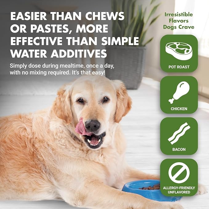 LIQUID-VET K9 Hip & Joint Formula, Chicken Flavor, 16 oz (Pack of 4)