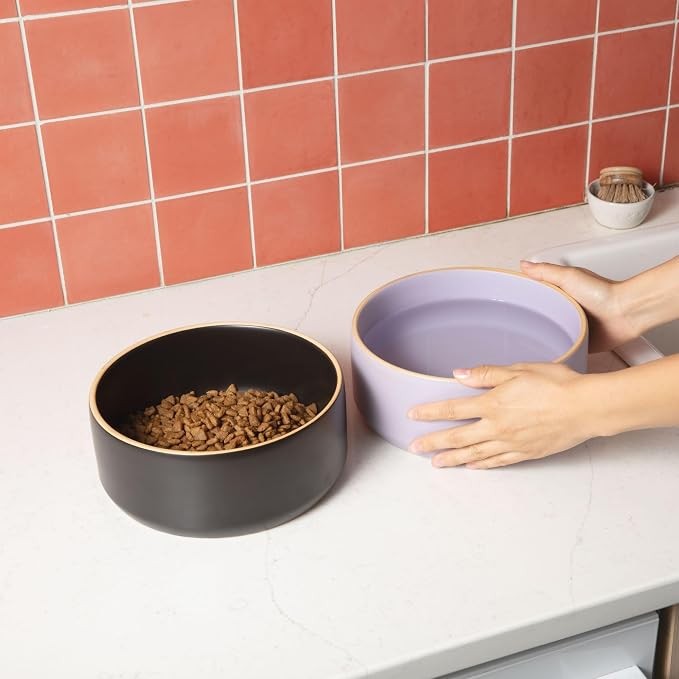 Waggo Edge Dog Bowl for Small Medium and Large Breeds - Clean Modern Matte Finish, Heavyweight and Durable Pet Food and Water Dish Crock, Dishwasher Safe (Lavender, 4 Cups)