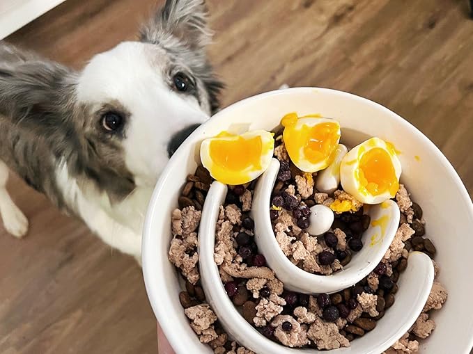 LE TAUCI PET Ceramic Slow Feeder Dog Bowl, 3 Cups Maze Dog Food Bowl for Medium/Large Dogs – Non-Slip White Pet Dish, Cute Puzzle Design to Slow Fast Eaters