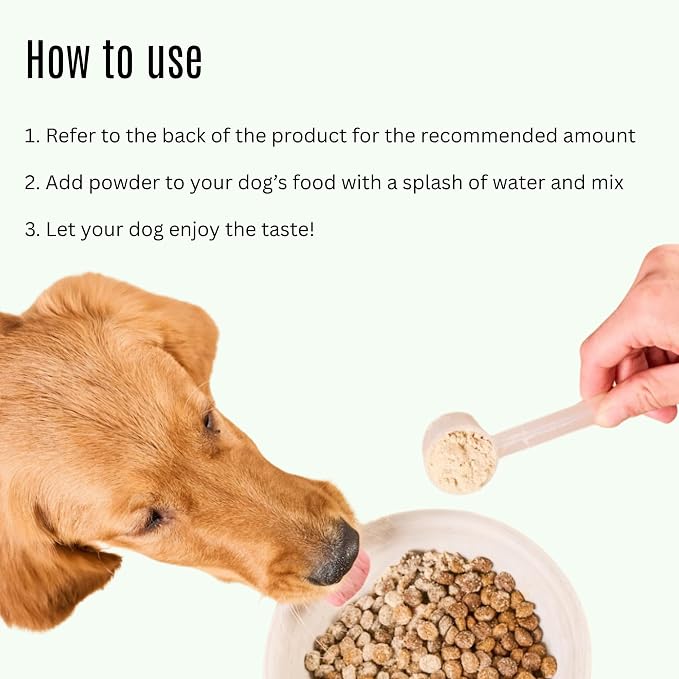 K9Power Total K9 – 11-in-1 Dog Multivitamin Powder – Daily Whole-Body Support for Digestion, Skin, Joints, Heart, Brain, Immunity & Energy – Turmeric, Ginger, Probiotics, Antioxidants, Omegas