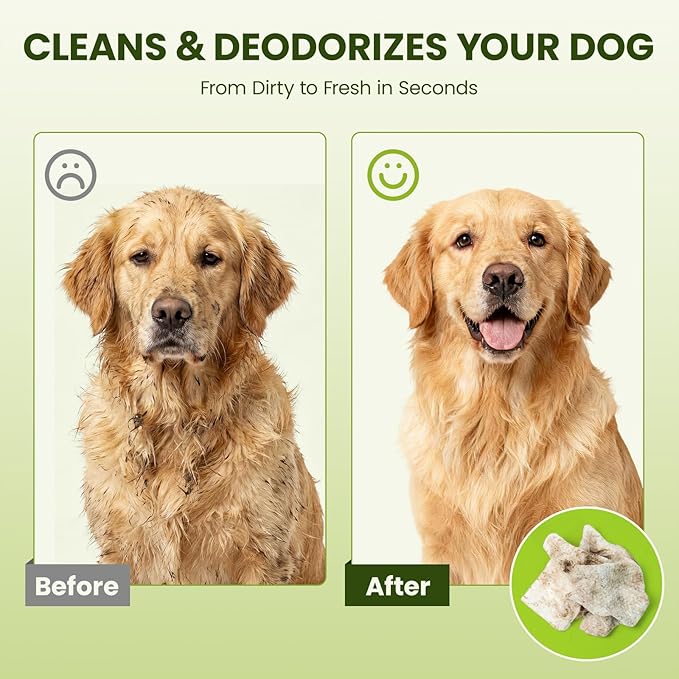 Hypoallergenic Pet Wipes for Dogs, Cats & Small Animals – Quick Clean & Deodorize Paws, Butt, Eyes, Face & Fur | Daily Grooming Wipes | Extra Large & Thick | Coconut Scented, 100 Count