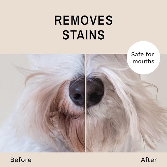 Eye Envy Beard Stain Remover Spray for Dogs/Cats. Natural, Safe. Remove Stains from Drooling, Saliva, Food, Runoff from Tearing. Removes Odors. Keeps Dog Beards Clean. 8oz