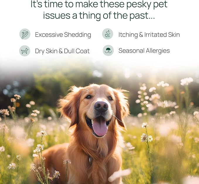 pawTree Salmon Oil-Dog and Cat Fish Oil Supplement-Ideal for Excessive Shedding Control, Seasonal Allergies, Itch Relief, Dry, Irritated Skin. with Heart-Healthy Omega-3 & Omega-6 Fatty Acids.