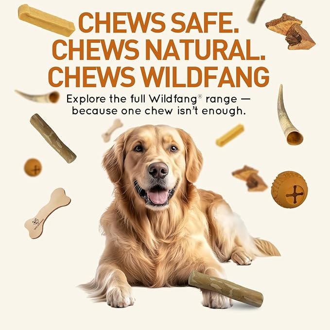 Wildfang® Coffee Wood Dog Chew, XXS – Tough Chew Toys for Aggressive Chewers, Dog Teething Toys for Puppies, Training for Chewing Muscles, Coffee Tree Sticks for XX-Small Dogs (Under 11 lbs) Pack of 3