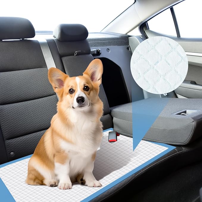 100 Packs 22"x22" Disposable Puppy Pads, Dog Training Pads, Super Absorbency Disposable Underpads with Leak-Proof and Odor Control, Disposable Training Pads for Puppies, Dogs, Cats, Rabbits