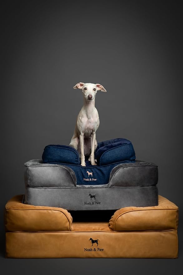 NOAH & PAW Small Dog Bed, 20x15x8 Inch, Cat Bed for Indoor Cats, Orthopedic Eggshell Memory Foam Infused with Cooling Gel, Water Resistant Inner Cover Machine Washable (Velvet Collection)
