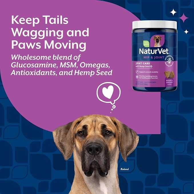 Healthy Joint Health Supplement for Dogs, Hemp Seed Oil, Hemp Seed Powder, Glucosamine, Msm and Chondroitin for a Powerful Joint Health Solution for your Dog, Made by NaturVet, 120 Count