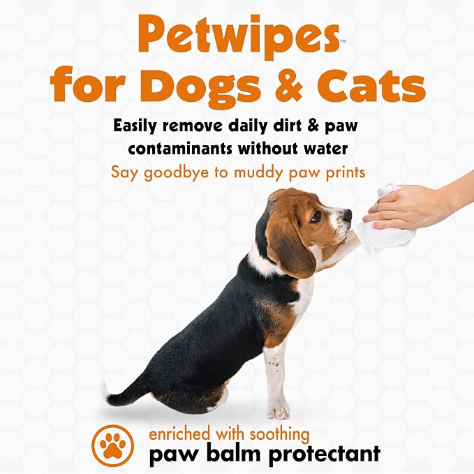 Petkin Big N' Thick Paw Wipes for Dogs, 200 Large Wipes - Clean Dirty Paws After Walks, with Paw Balm Protectant - Keep Floors and Furniture Clean - Ideal for Home or Travel - 2 Packs of 100 Wipes