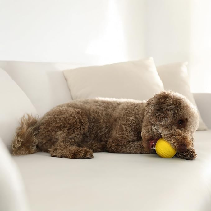 Playology Dog Toys | Dual Layer Ball Durable Chew Toy for Tough Chewers | Chicken Scented Medium Dog Toy | Chew Toys for Dogs