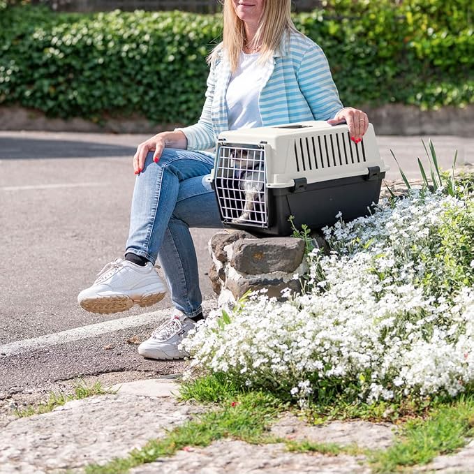 Ferplast Cat Carrier Small Dog Carrier, Secure, Practical, Easy to Clean, Durable Pet Dog/Cat Travel Box Cage up to 5 Kg. 48 x 32.5 x h 29 cm. Black