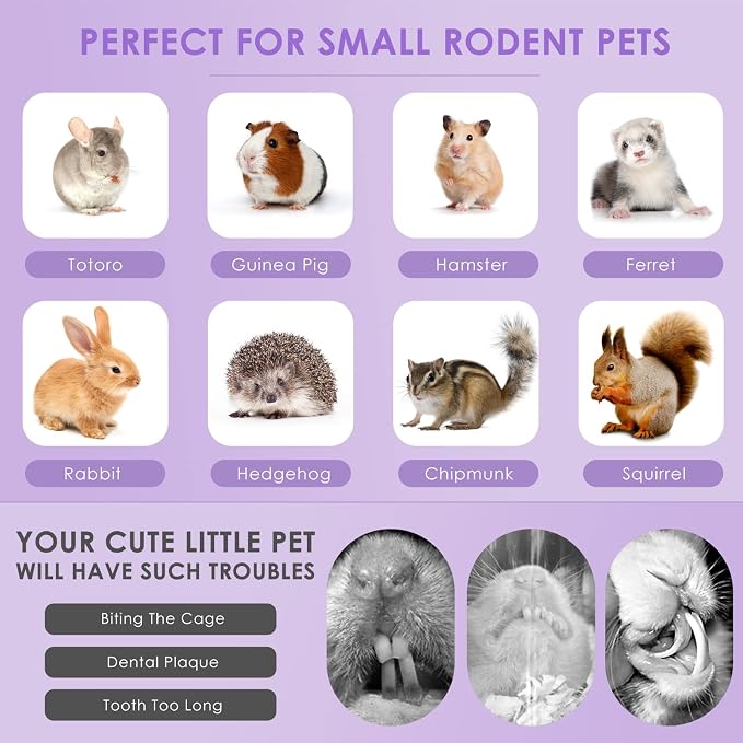 Bissap Rabbit Chew Sticks, Bunny Molar Mixed Timothy Hay Treats Bamboo Sticks for Small Animals Hamsters Chinchillas Guinea Pigs Squirrels Natural Teeth Grinding Chewing Toys