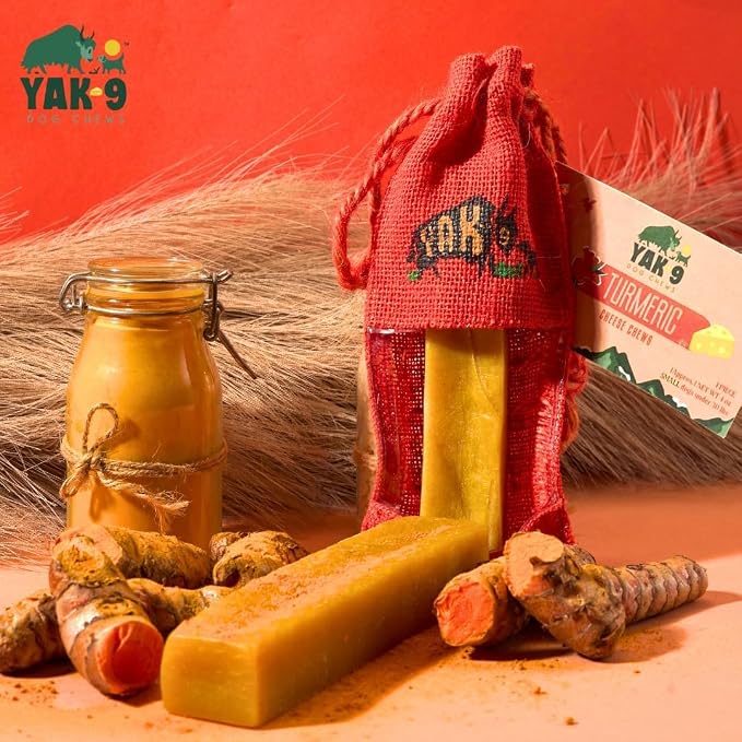 Yak Cheese Dog Chews with Turmeric for Hip & Joint Support | High Protein, Non Rawhide Dog Chews Long Lasting | Non GMO, Gluten Free, Grain Free | Medium (Breeds 15-30 lbs), 2 PC