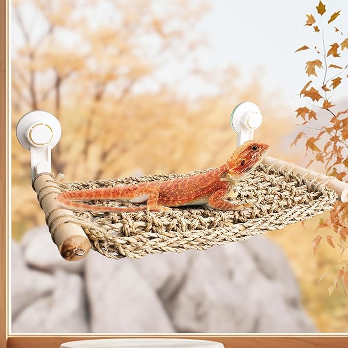 FlidRunest 13.3 x 7.8 in Seagrass Bearded Dragon Hammock for Window, Lizard Window Perch, Reptile Hammock Perch with Powerful Suction Cups for Lizard, Leopard Gecko, Chameleon