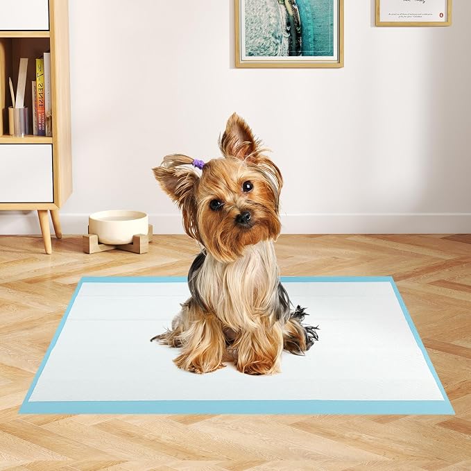 Giantex Dog Pee Pads 300 Count, 24" x 17" Puppy Training Pads for Small Dogs, Super Absorbent Leak-Proof Disposable Potty Pads for House Training, Indoor & Outdoor Use