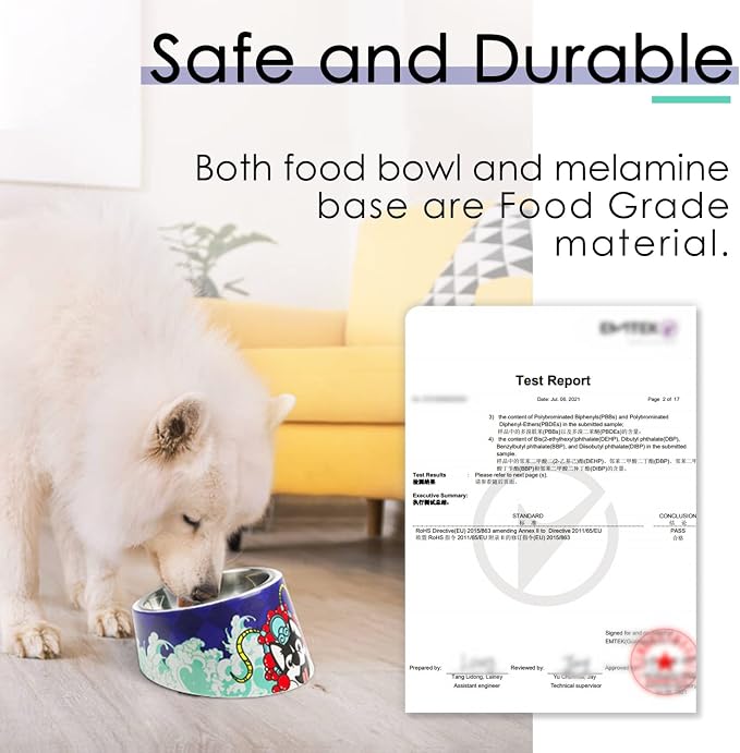 Super Design Mess Free 15° Slanted Bowl for Dogs and Cats, Tilted Angle Bulldog Bowl Pet Feeder, Non-Skid & Non-Spill, Easier to Reach Food