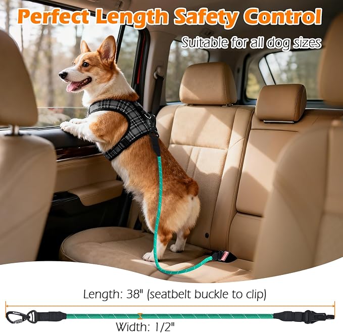 PetBonus Dog Seat Belt for Car and 2-Pack Silicone Collapsible Dog Bowls