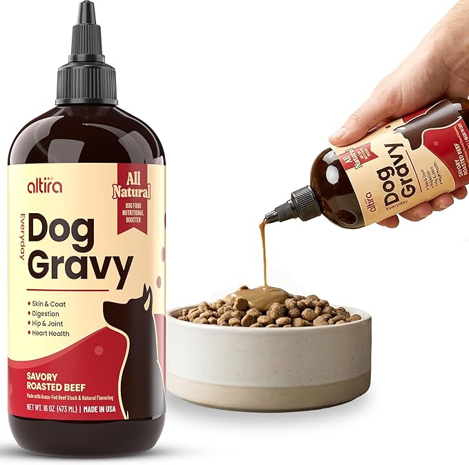 Everyday Dog Gravy - Wet Dog Food Topper for Dry Food with Glucosamine, MSM, Beef Bone Broth, Omega 3, Probiotics and Taurine - Skin, Coat, Heart, Hip and Joint Support, 16 oz (Beef)
