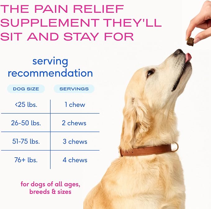 Native Pet Inflammatory Care - Pain Relief for Dogs - Green-Lipped Mussel, Turmeric & Collagen for Dogs - Hip and Joint Supplement Supports Healthy Inflammatory Response & Joint Comfort - 30 Chews