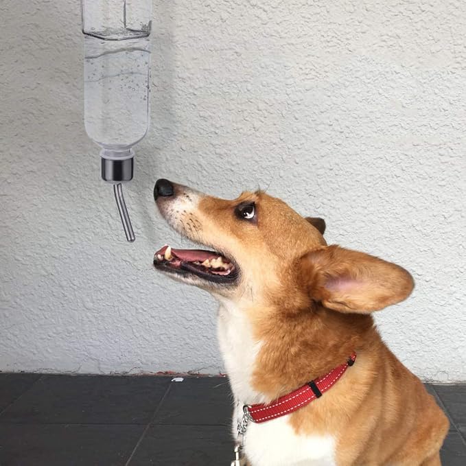 Balacoo Hanging Automatic Water Dispenser 500 ml Leak-Proof ABS Bottle for Cage & Travel, No-Drip Gravity Feeder for Rabbits, Cats, Birds