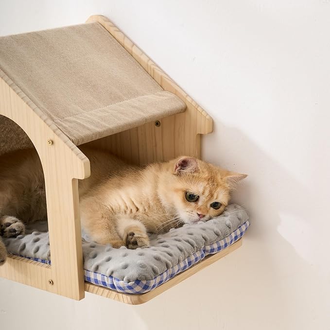 SHENGOCASE 2-Pack Cat Wall House, Wall-Mounted Shelves Perch Furniture Set with 3 Steps, Natural Wood, Washable Cat Cushions