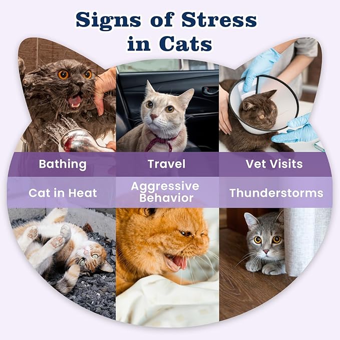 Calming Treats for Cats, 500 Crunchy Creamy Calm Chews Relieve Anxiety, Stress & Reduce Aggression with Melatonin & GABA All Cats Promotes Relaxation for Travel, Vet Visits, Separation -Chicken Flavor