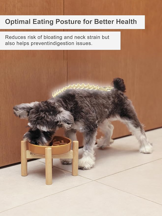 Ceramic Maze Dog Slow Feeder with Non-Slip Silicone Rim (& Bamboo Stand) – Heavy-Duty Stoneware Bowl with Puzzle Pattern for Bloating & Obesity Prevention (Raised-Apricot-M)