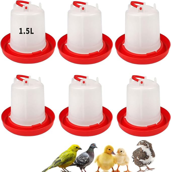 6 Pack 1.5L Gravity-Fed Chick Water for Brooder – Poultry Drinker | Water Dispenser for Baby Chicks, Ducks, Quail, Pigeons, and Backyard Coop Use