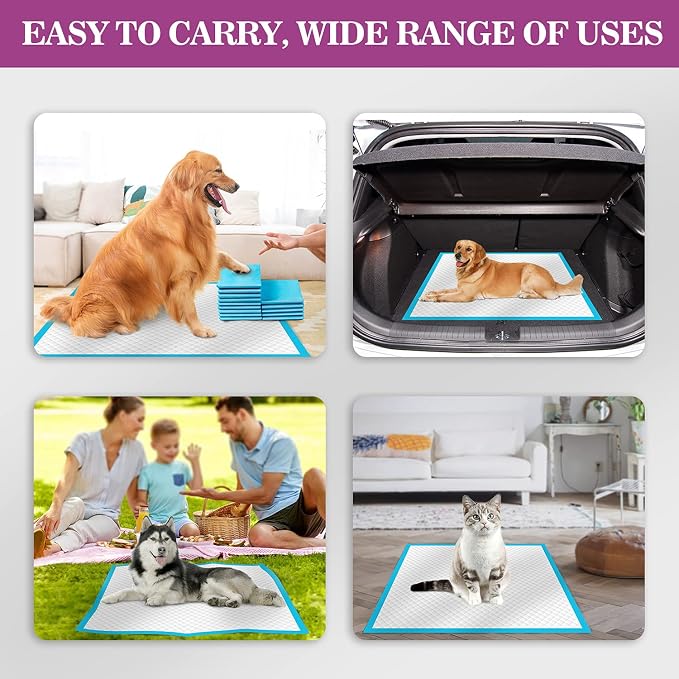 IMMCUTE Large Dog Pee Pads 28"x30"-50 Count | Large Puppy Pee Training Pads Super Absorbent & Leak-Proof | Disposable Pet Piddle and Potty Pads for Puppies | Dogs | Doggie