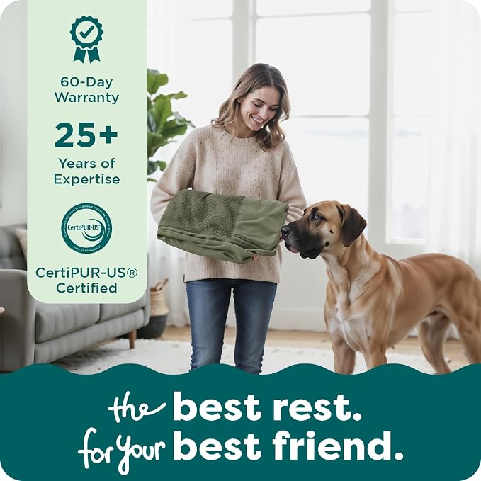 Furhaven Replacement Dog Bed Cover Faux Fur & Velvet Sofa-Style, Machine Washable - Dark Sage, Medium