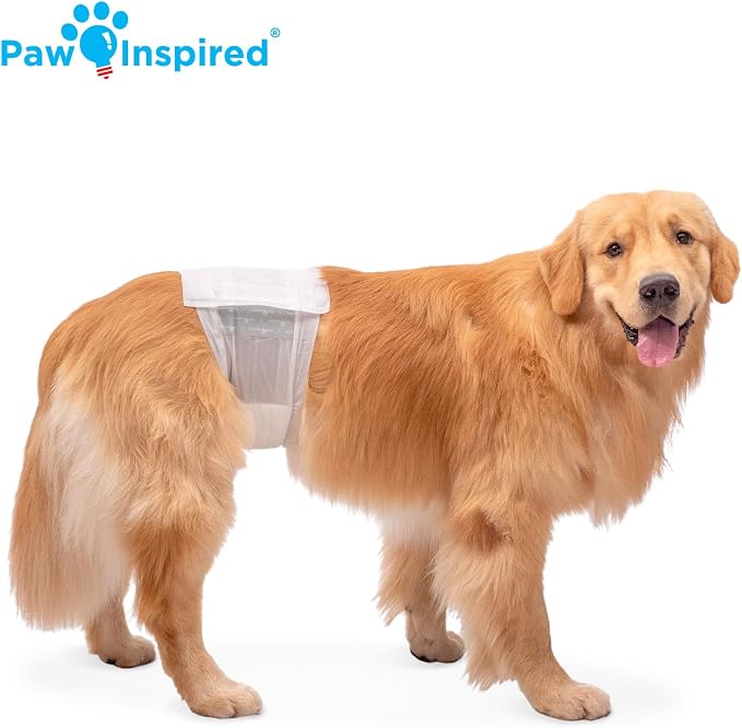 Paw Inspired Male Dog Wraps, Disposable Dog Diapers | Belly Bands for Small, Medium, Large Dogs (32 Count, Size Large)