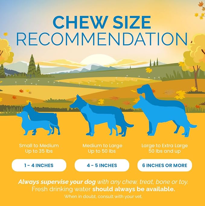 123 Treats Beef Tendon Chews for Dogs – 7-9 inches Beef Strap Chew Sticks, High in Protein, 100% Natural, Grain & Gluten-Free Dog Treats, Great for Dental Health (25 Count)