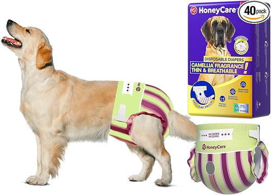 HONEY CARE Petrichor Female Dog Diaper, Camellia Fragrance, Emits Fresh Scent While Absorbing Urine, Thin & Breathable, XL, 40 Count