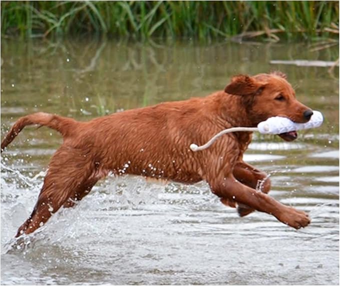 Avery ASD 3" HexaBumper Hunting Sporting Gun Dog Game Retriever Dummy | Water & Upland Mark Training Retrieval Tool | Hexagonal, Floating Design, Easy-Grip Texture, Throw Rope, White (02731)