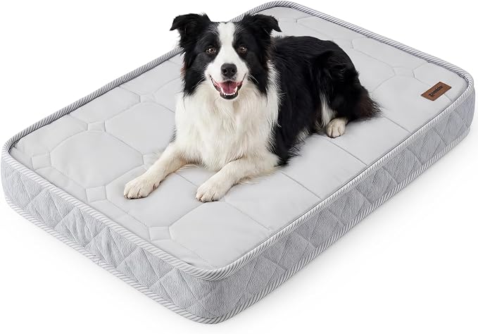 ZOMISIA Reversible Warm & Cooling Dog Bed for All Season Q-Max 0.5, Orthopedic Dog Bed Matrress for Large Dogs, 3" Thick Egg Crate Foam Pet Bed with Detachable Non-Slip Bottom, Waterproof Cover
