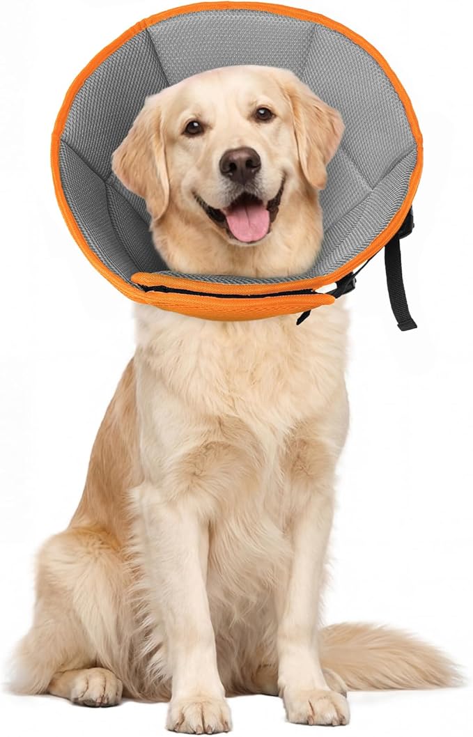 Allroaring Adjustable Dog Cone for Spay, Comfy Recovery Collar Orange L | Breathable & Lightweight; Soft Fabric; Wound Healing & Stitches; Chewing Deterrent; Foldable; Extra Long; Protect Furniture
