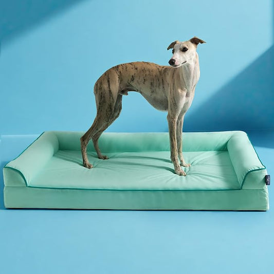 Cooling Dog Bed Large Sized, Orthopedic Pet Cooling Beds with Sides,Q-Max>0.45 Breathable Egg Crate Foam with Removable Washable Cover,Suitabe for Pet Up to 90 lbs, Light Aqua