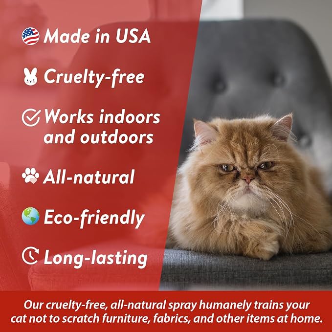 Bodhi Cat No More Scratching! Cat Deterrent Spray, Indoor & Outdoor Repellent w/Essential Oils - Safe & Effective Formula - Prevents Scratches on Furniture, Protects Surfaces - Made in USA (8 Fl Oz)