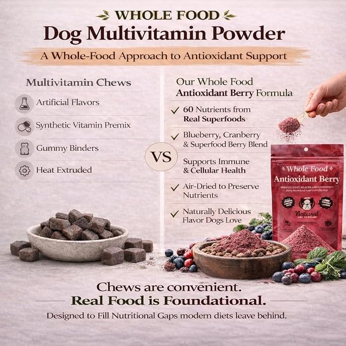 Natural Dog Company Dog Antioxidant Berry Food Topper for Dogs – Superfood Meal Topper & Multivitamin Powder Alternative, Immune Support, All Breeds & Ages Dog Food Seasoning, 8 oz Bag