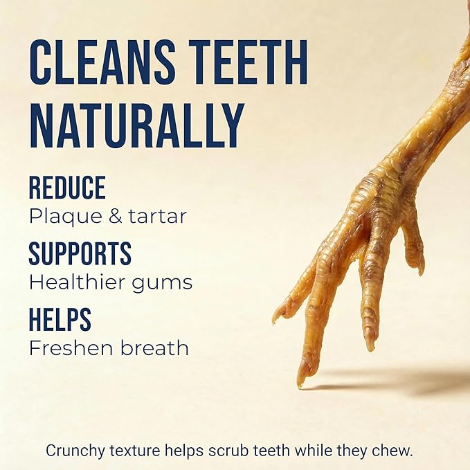 K9warehouse Chicken Feet Dog Treats - 30 Count - Natural Dehydrated Chicken Feet for Dogs - Nutrient-Rich Dog Chicken Feet - Tasty Chicken Foot Chews for Canines - Ideal for Training & Dental Health